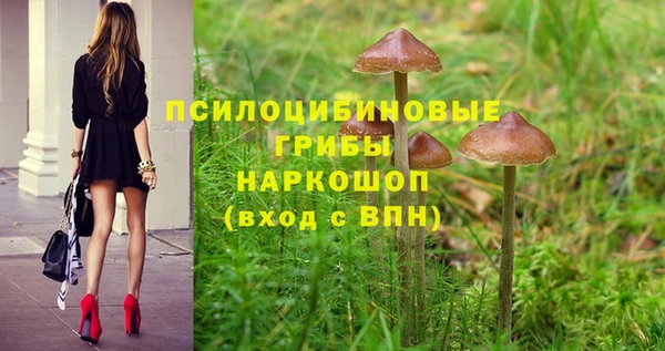 альфа пвп Белокуриха