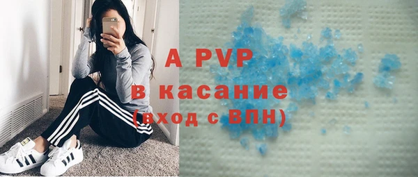 PSILOCYBIN Осташков