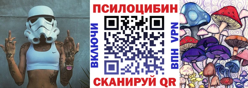 закладки  Чёрмоз  Псилоцибиновые грибы Magic Shrooms 
